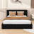 Queen Wooden Upholstered Platform Bed with Headboard-1912321868