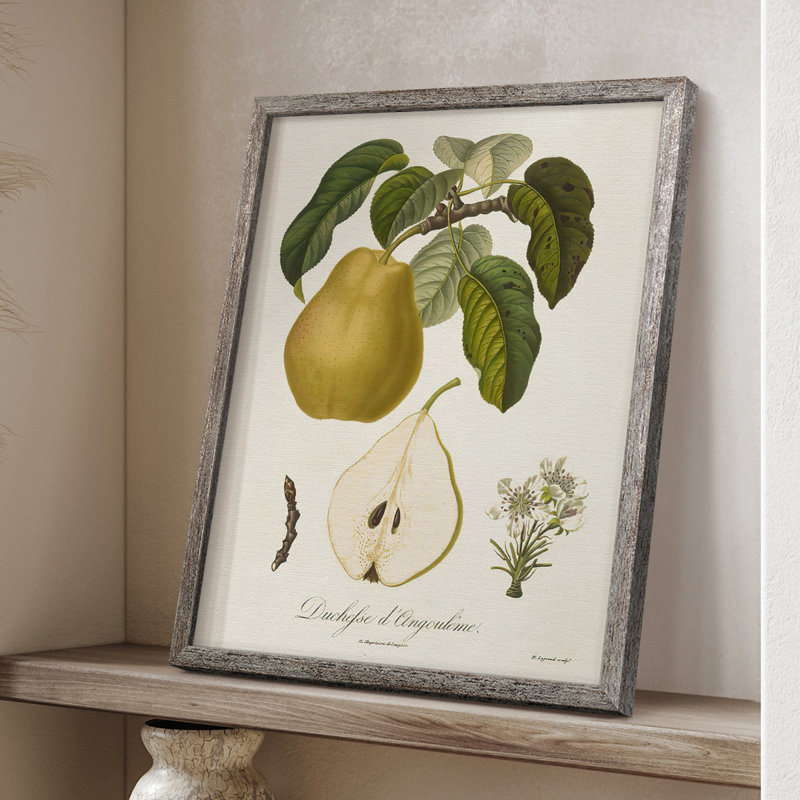 Vintage Pears I, reproduction encadrée - bois massif, H 11 po x l 9 po