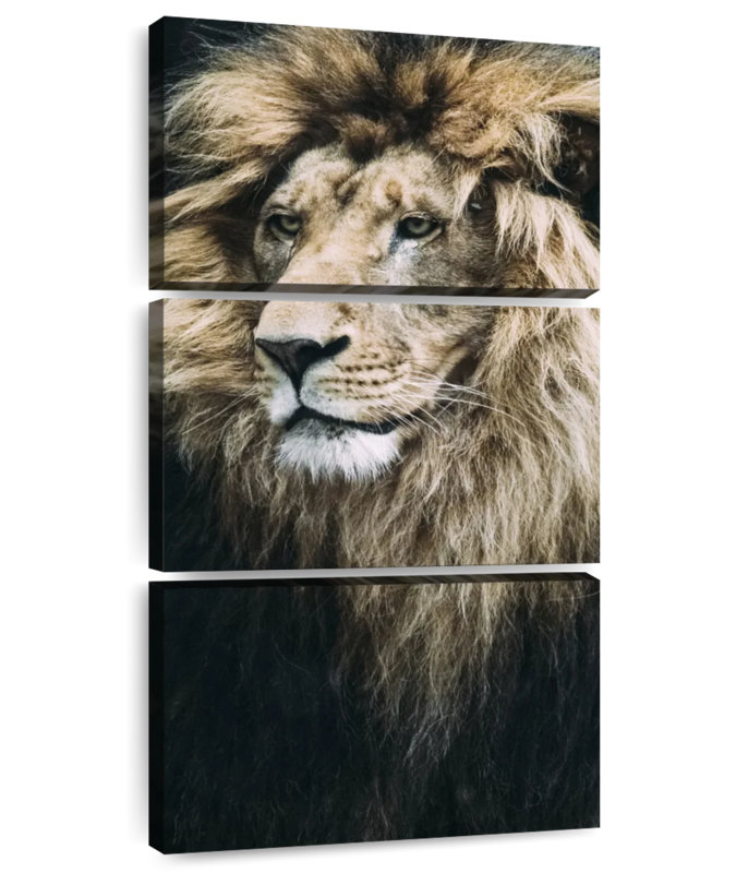 Vieux lion, H 27 po x l 12 po