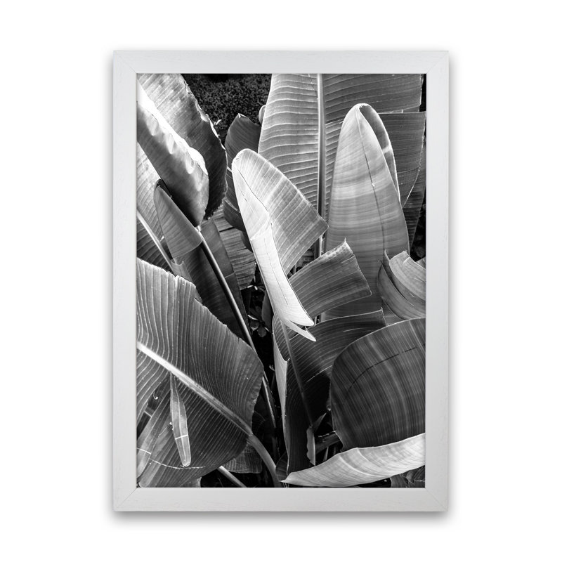 Palms Leafs by Victoria Frost - Print, 88cm H x 64cm W x 3cm D, White Framed