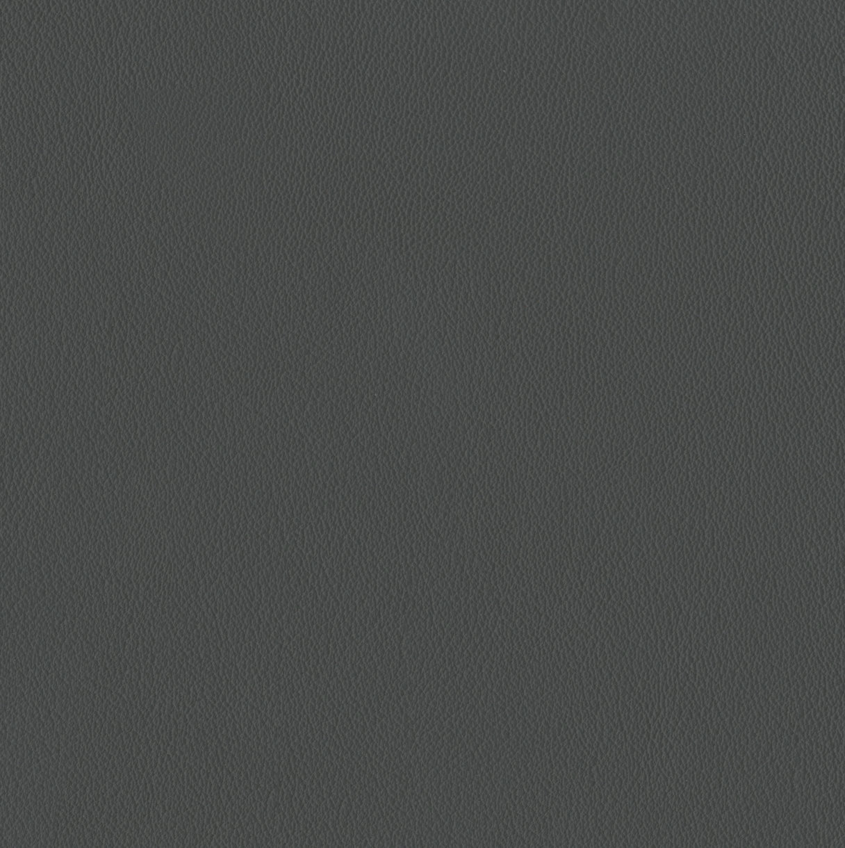 Elan Cinder Sample