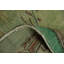 Tapis turc Anatolian