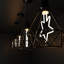4 2700 Bulb