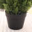 Faux Cypress Topiary Trees in Pot, Set of 2, UV Resistant Pre-Potted Evergreen with Realistic Thick Trunk, Black Cement Pot for Front Door, Porch & Entryway (Cedar-Look)-1210161142