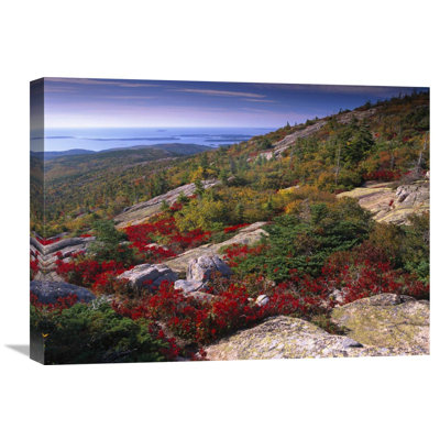 " Atlantic Coast From Cadillac Mountain Acadia National Park Maine " by Tim Fitzharris