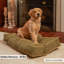 Lit pour chien Olivarez Classic-1708492249-1708492250