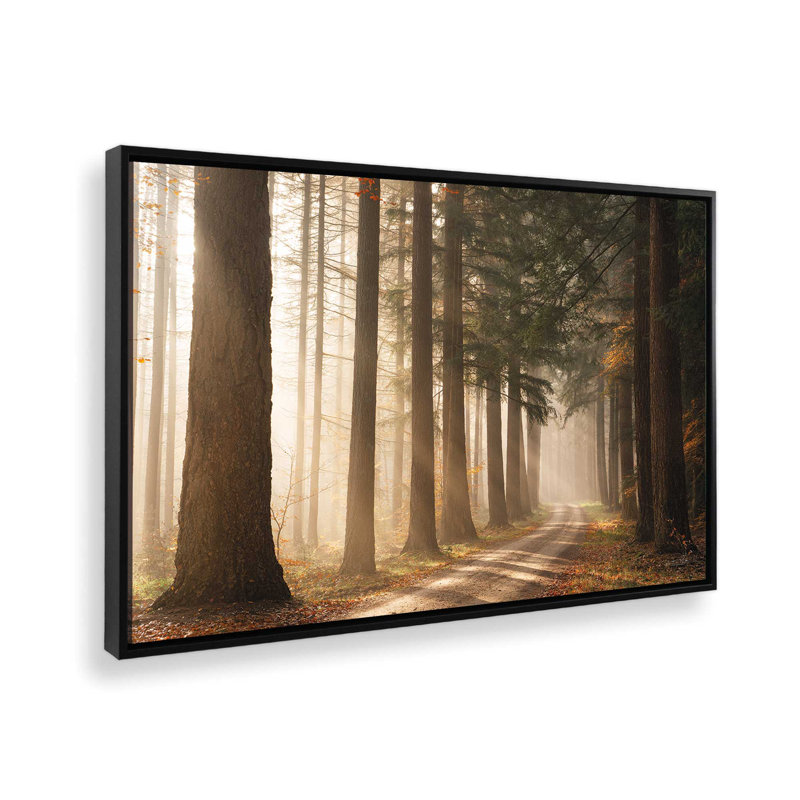 «Morning Sun Beam» par Martin Podt, reproduction d'art, 36 W x 24 H, Black, Framed Canvas