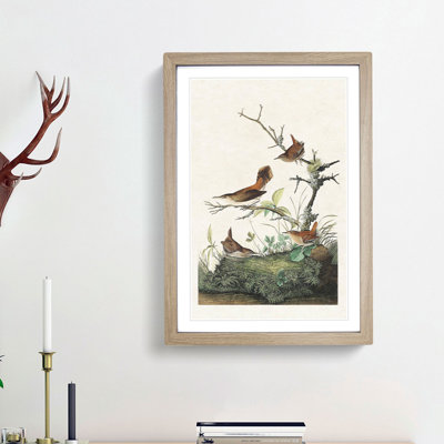 Wrens by John James Audubon - Framed Print
