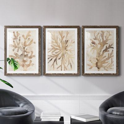 Parchment Coral I - ensemble de 3 reproductions de cadres photo