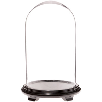Brentwood 11.75" x 20" Glass Display Dome Cloche