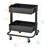 ECR4Kids 2-Tier Rolling Utility Cart, Multipurpose Storage-59602048