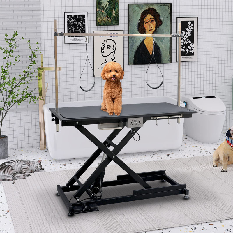 Table de toilettage professionnelle, Noir