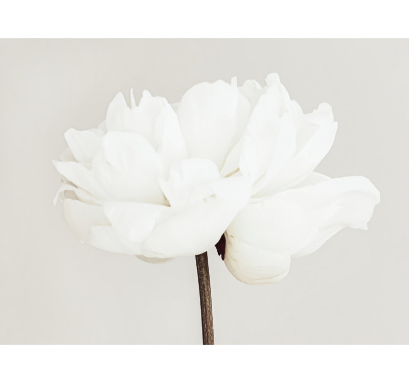 Wrapped Canvas Print, 50.8cm H x 76.2cm W