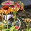 Support pour plantes LeChee