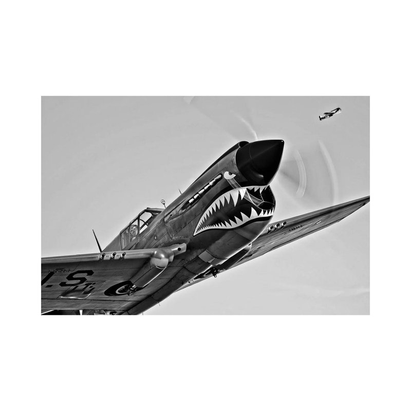 A Curtiss P-40E Warhawk In Flight Near Chino, California I by Scott Germain - Wrapped Canvas Print