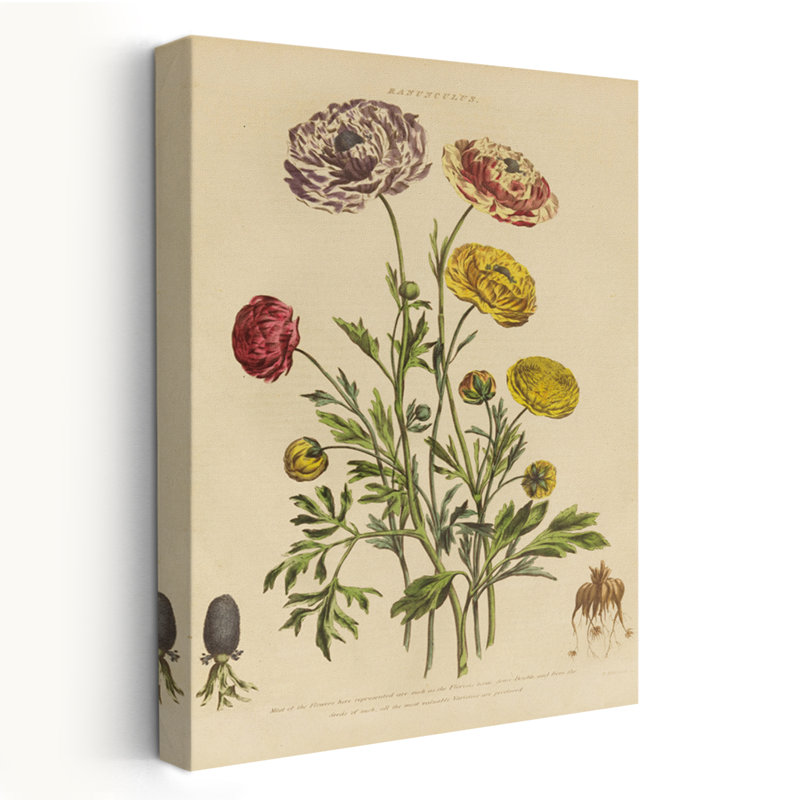 Rétro et champêtre / chalet botanique à base de plantes XXII, H 36 po x l 24 po