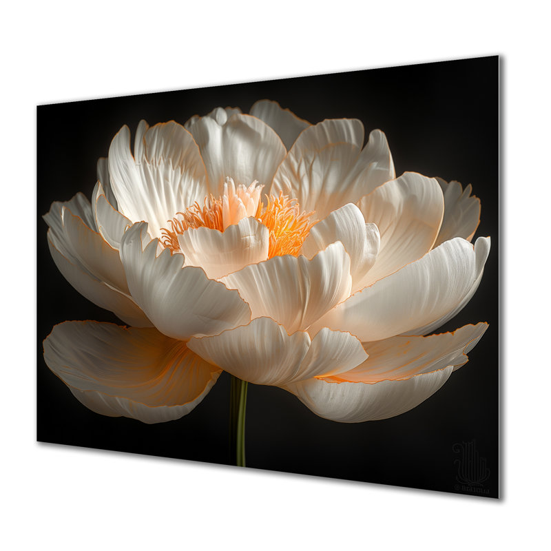 Riveria - pivoines, impression d'art mural, H 12 po x l 20 po, Sans cadre