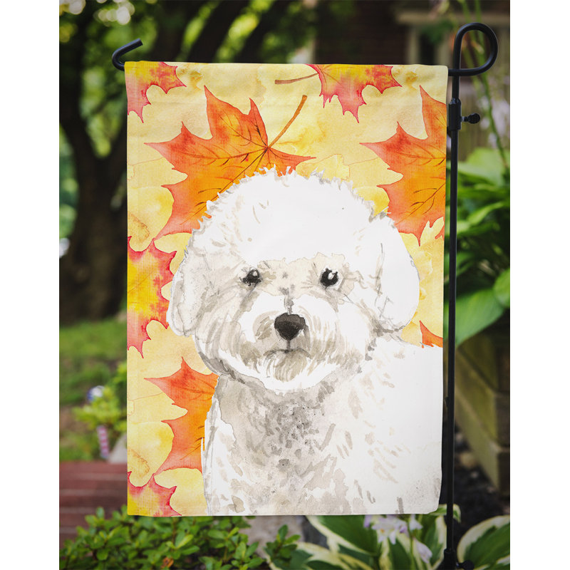 Automne 2 côtés en polyester 15 x 11 po drapeau de jardin, Bichon frisé crème