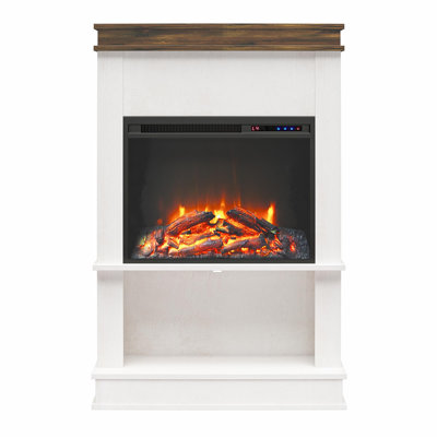 Winston Porter Kejuan 29.69'' W Electric Fireplace & Reviews | Wayfair