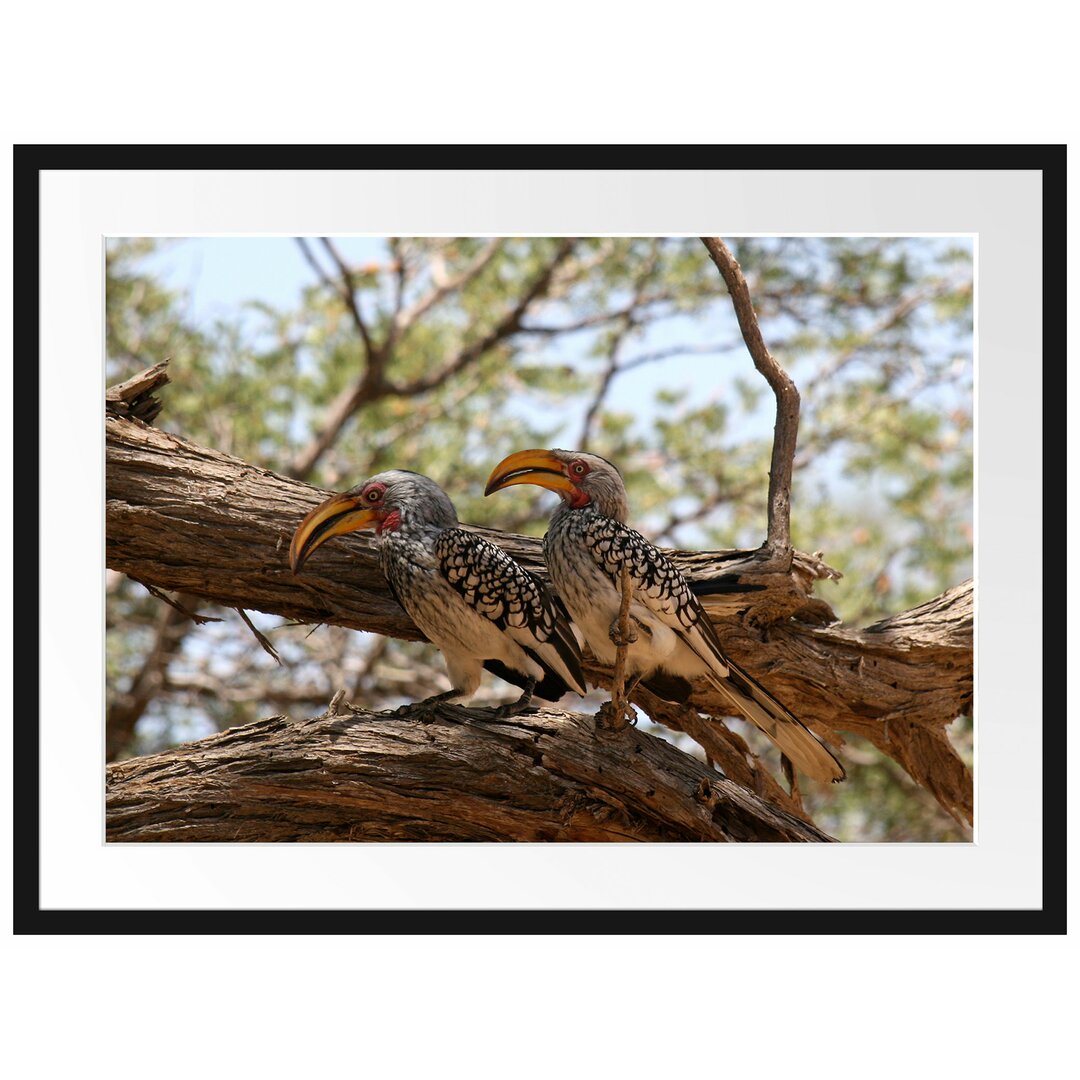 Gerahmtes Poster Zwei Vögel auf einem Baum