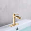 Robinets de lavabo de salle de bain à poignée simple avec bonde escamotable Waterfall-102462358