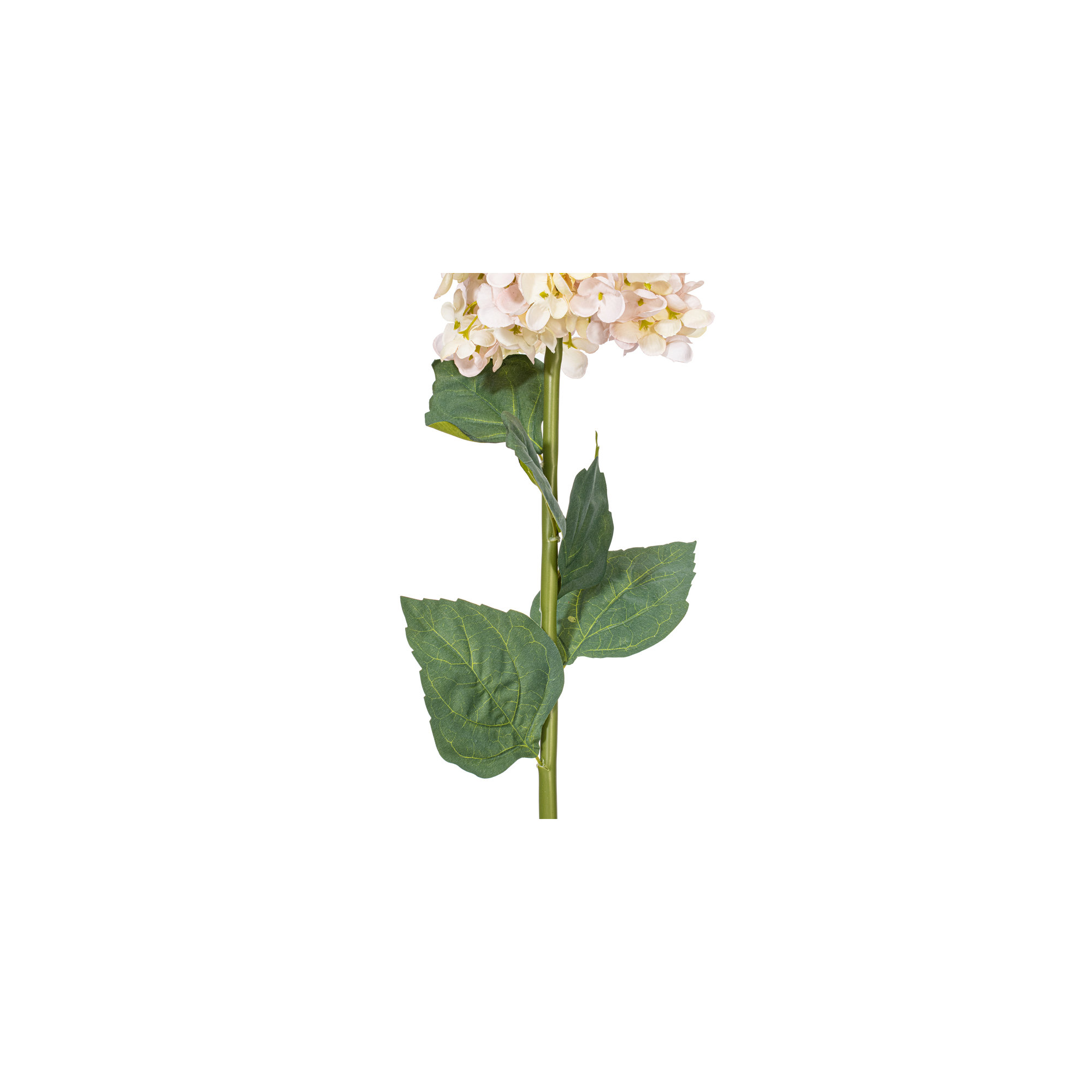 Hydrangea Stem, Lavender