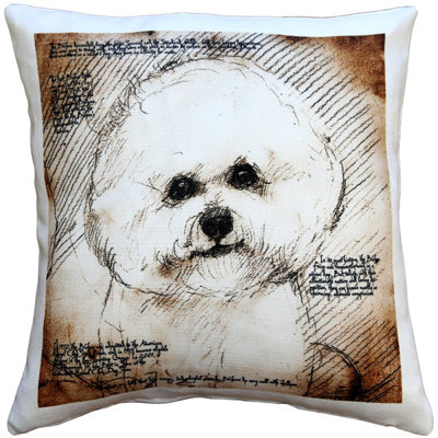 Animal Print Reversible Throw Pillow