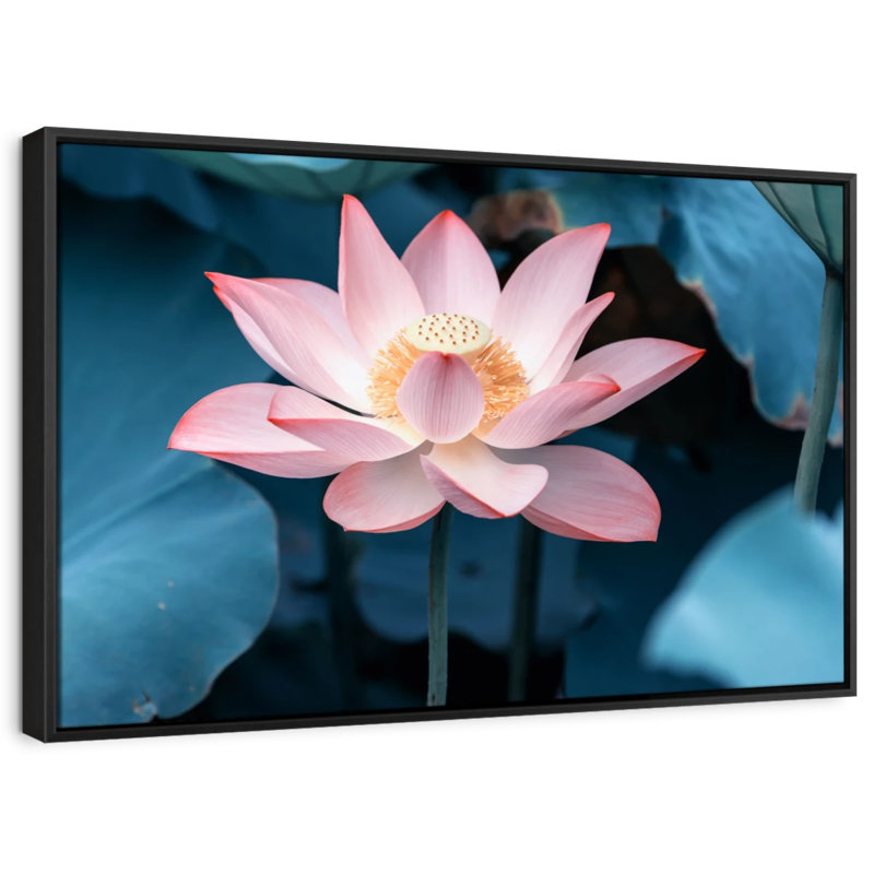 Floral et botanique «Lotus de minuit», H 9 po x l 13 po