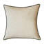 Coussin Feathers