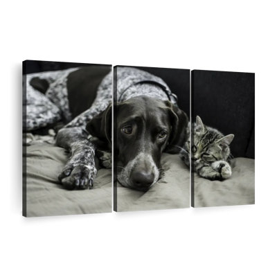 «Dog and Cat Friends» sur toile