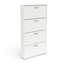 Barbaa 12 Pair Shoe Storage Cabinet