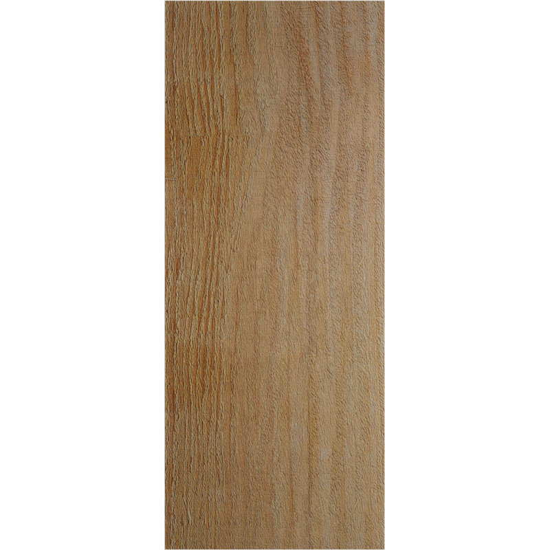 Sapin Douglas, Sapin de Douglas, H 10 po x l 16 po x P 4 po