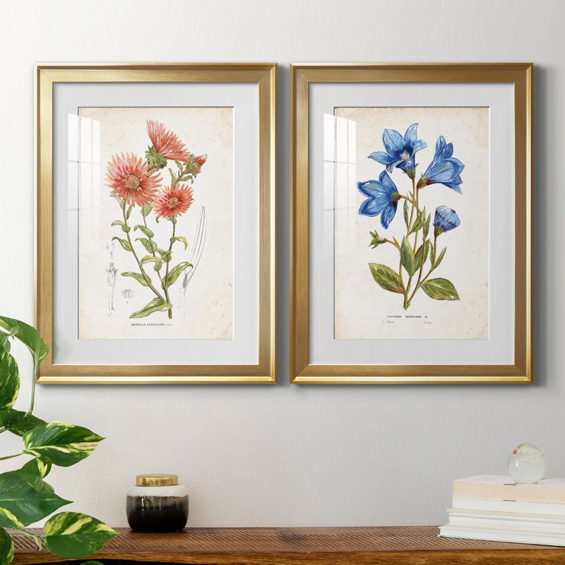 «Botanical I», ensemble de 2 reproductions d'art, Blanc, H 18,5 po x l 49 po x P 1,5 po, Papier encadré doré
