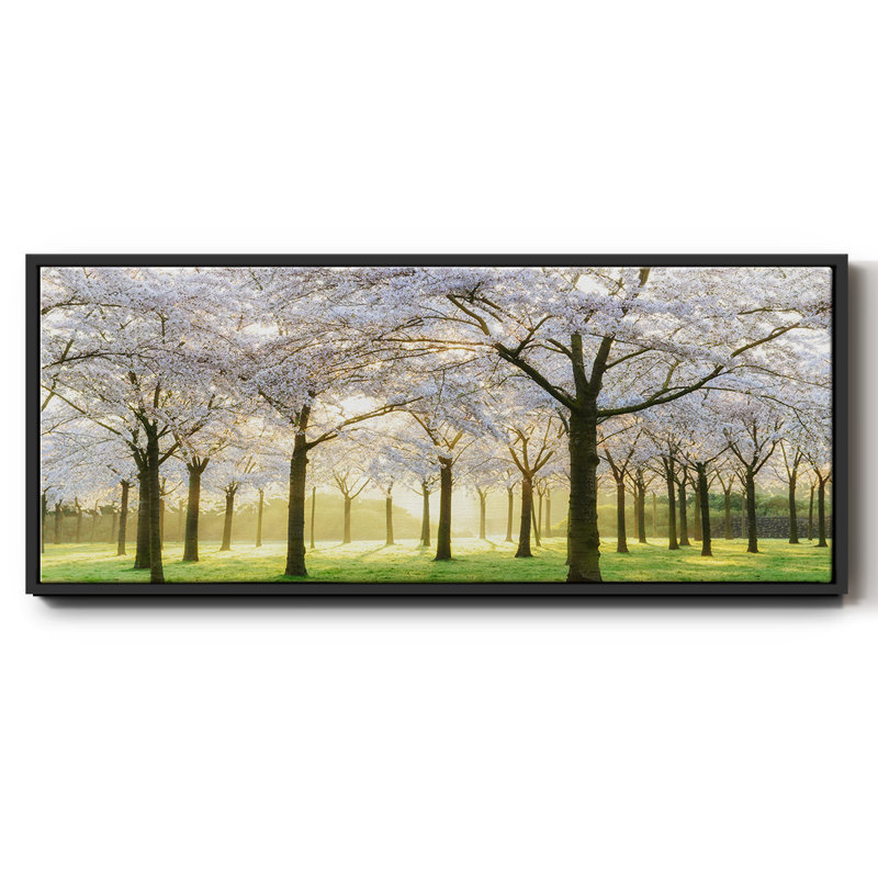 Bridal Trees- Framed Canvas