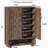 Shoe Cabinet, Storage Cabinet
