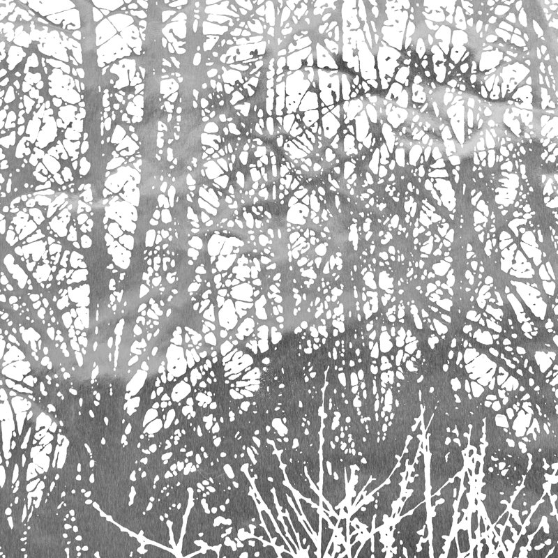 Papier peint Birches, Argent