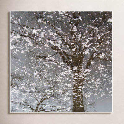 Infrared Cherry Blossoms by Soicher Marin Archives