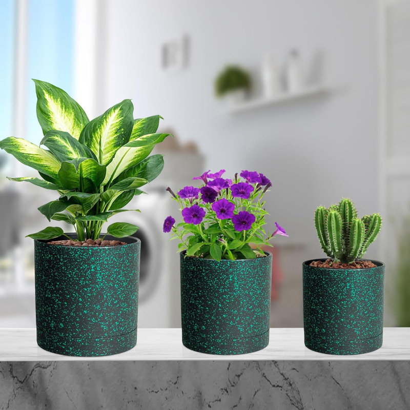 Paquet de 5 pots de plantes en plastique noir / vert tacheté 7 / 6,5 / 6/5/4 po