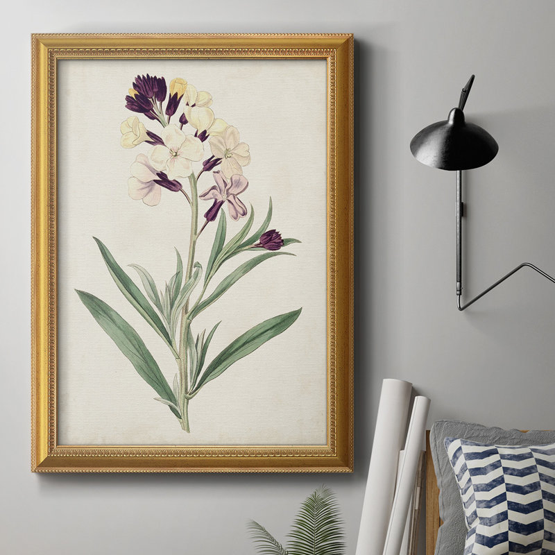 Toile encadrée de qualité supérieure Antique Botanical Collection VII - prête à être accrochée, H 20 po x l 16 po x P 2,5 po