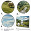 Blash Cow in Allemagne Repères I - Impression-139303907-139303904