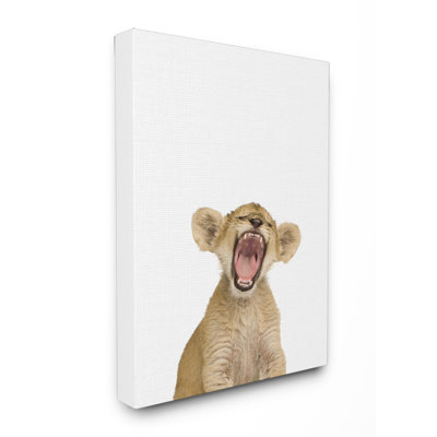 « baby lion », art sur toile photo studio