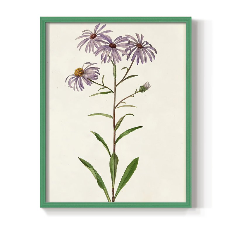Mauve Garden Flowers III, reproduction encadrée - bois massif, H 11 po x l 9 po, Vert
