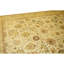 Hand Knotted Wool Oriental Area Rug in Beige And Gold