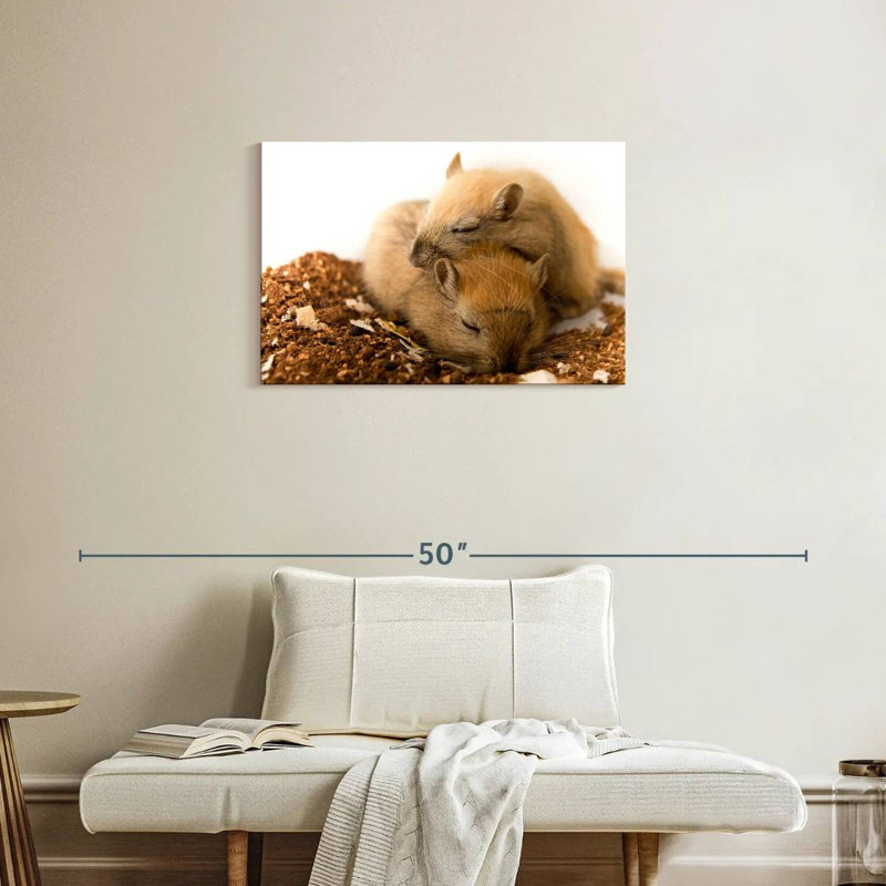 Sleeping Gerbils, 20" H x 30" W