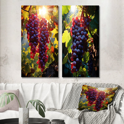 Coucher de soleil sur un vignoble en rhones - ensemble de salon mural en métal Vineyard