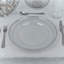 12 x 32cm Clear Charger Plates Set with Metallic Beaded Coloured Rim Party Table-1184581205