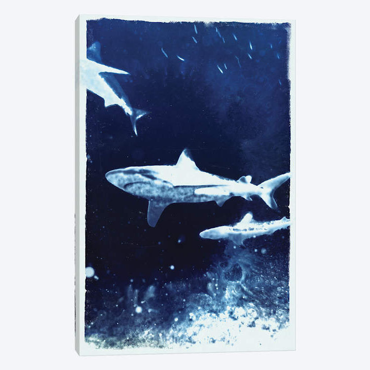 " Indigo Sharks ", 60" H x 40" W x 1.5" D, Wrapped Canvas, No Mat