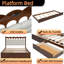 Modern Design Upholstered Platform Bed With Drawers and Trundle-661645154