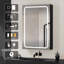 Chantily 19.86'' W 29.7'' H Surface Medicine Cabinet Mirror-817094718