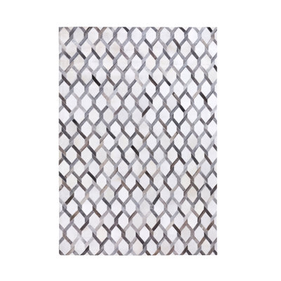 Diederich Hand Woven Indoor Rug